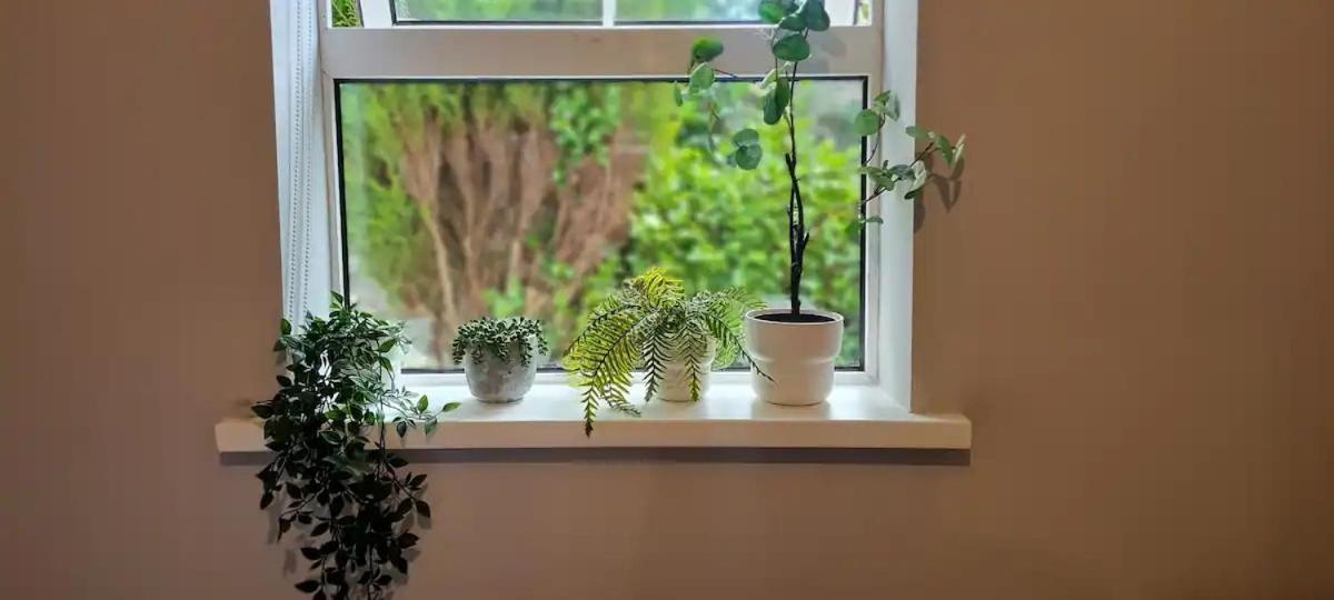 Blima Central Rooms 都柏林 外观 照片